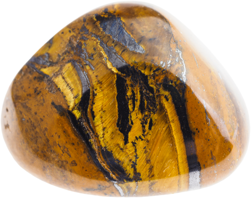 Tumbled Tiger Eye (Tiger-Eye) Gem Stone on White